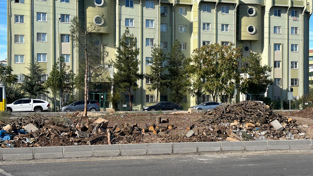 Diyarbakır’daki Refüj, Odunluğa Döndü2