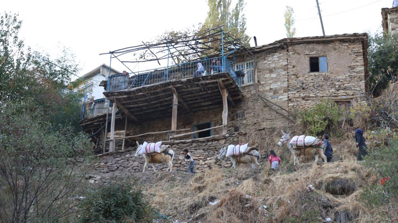 Diyarbakır'ın O Ilçesinde Eşek Olmazsa Hayat Yok!4