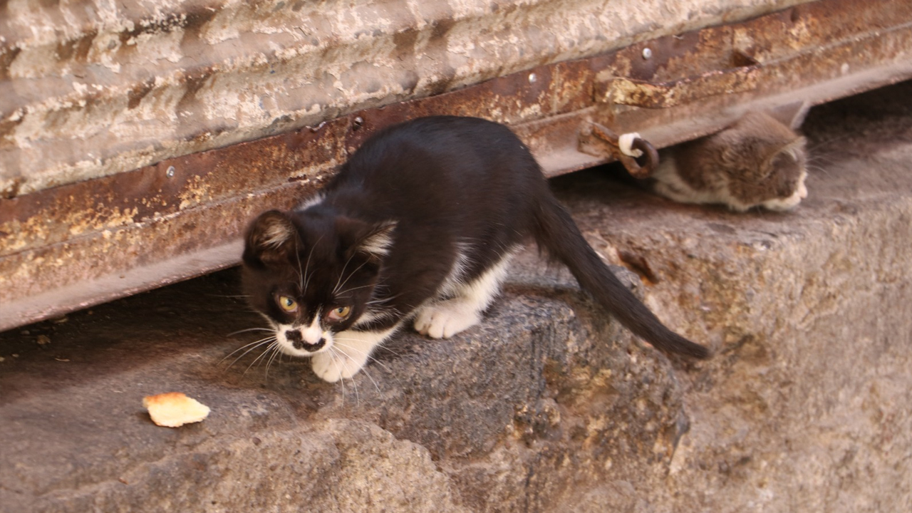 Diyarbakır’ın Sır Dolu Hikayesi5