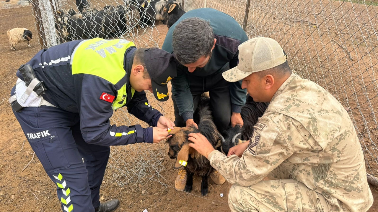 Siirt'te Ilk Kez Uygulandı1