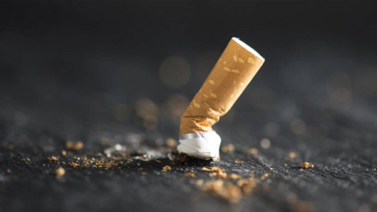 Whatsapp Image 2025 11 16 At 19.31.01