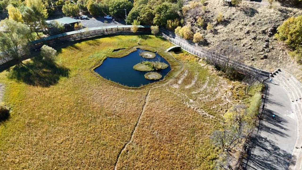 Yüzen Adalar'da Sonbahar Güzelliği