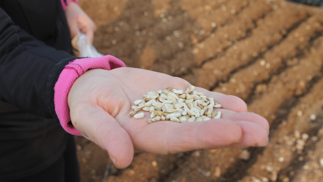 Batman'da Ilk Kez Denendi