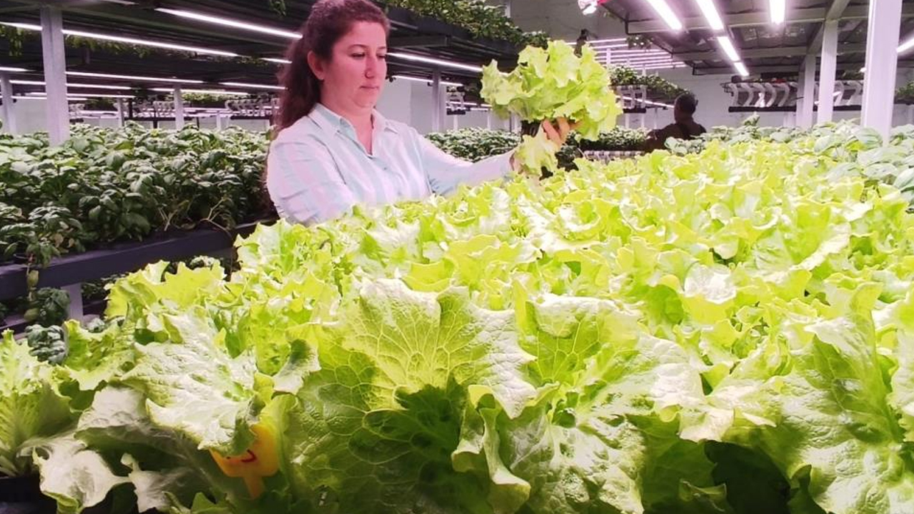 Batman'da Topraksız 30 Milyonluk Tarım Yatırımı