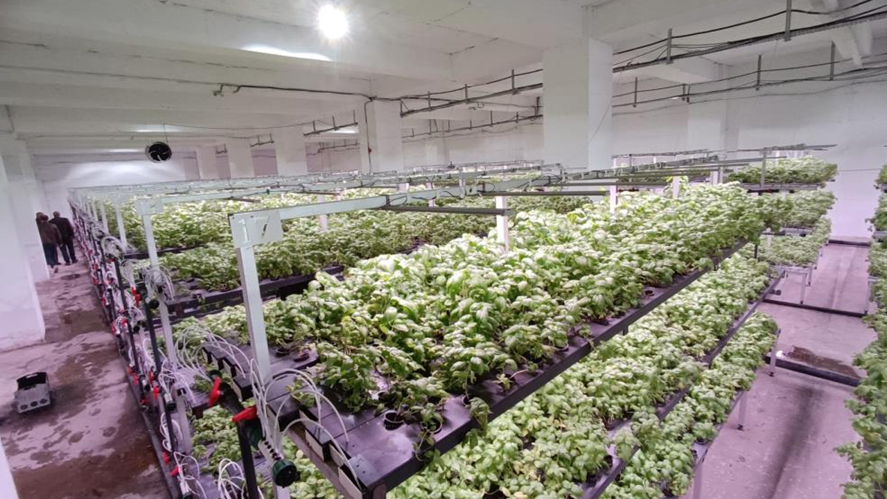 Batman'da Topraksız 30 Milyonluk Tarım Yatırımı3