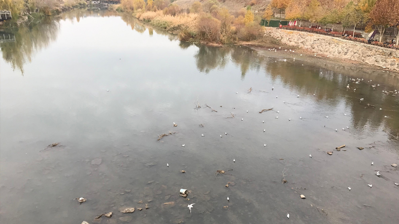 Dicle Nehri’nde Su Seviyesi Düştü Ve Kirlendi2