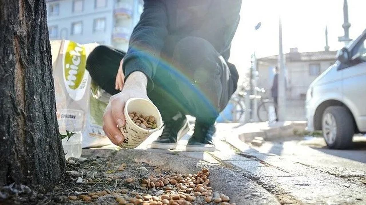 Diyarbakır’da Can Dostlarımızı Unutmayın!2