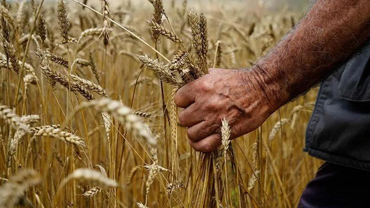 Diyarbakır’da Tarım Küçüldü, Inşaat Büyüdü2