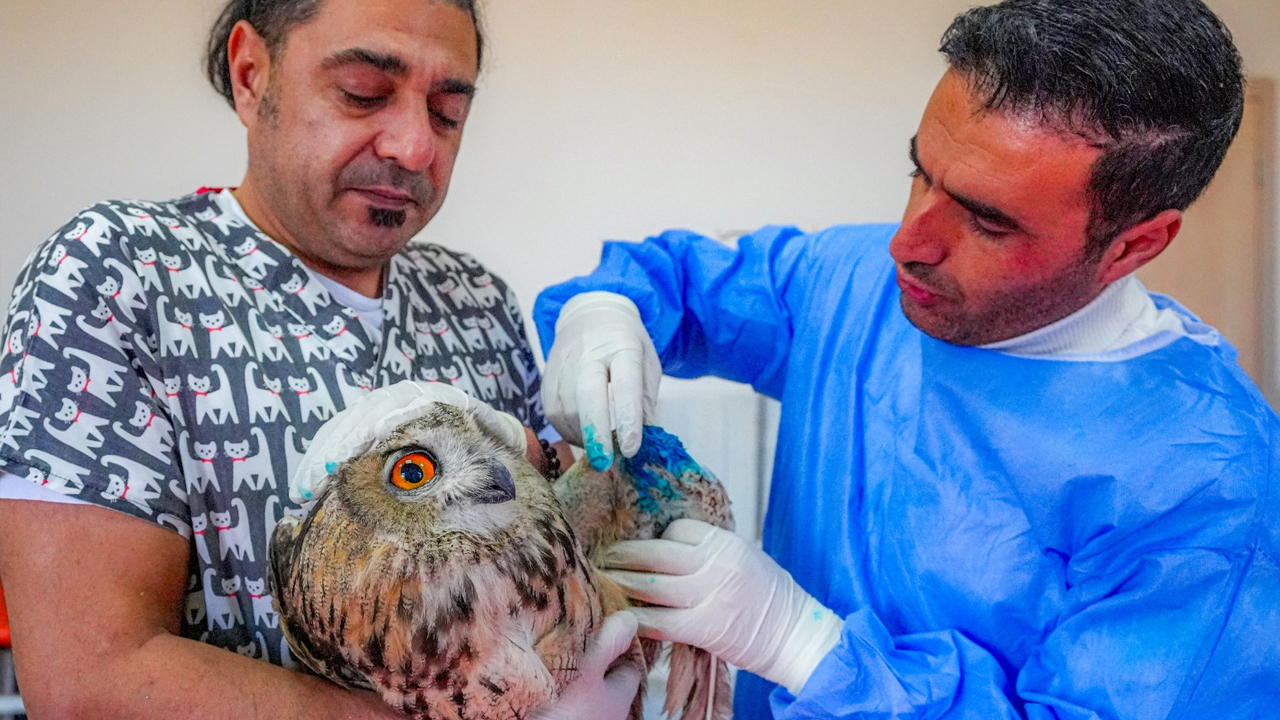 Diyarbakır'daki Merkez Yaban Hayvanlarının Umudu Oldu2