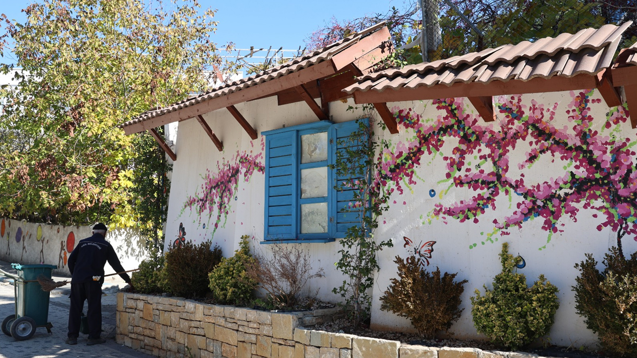 Diyarbakır’ın Bodrum Evleri2