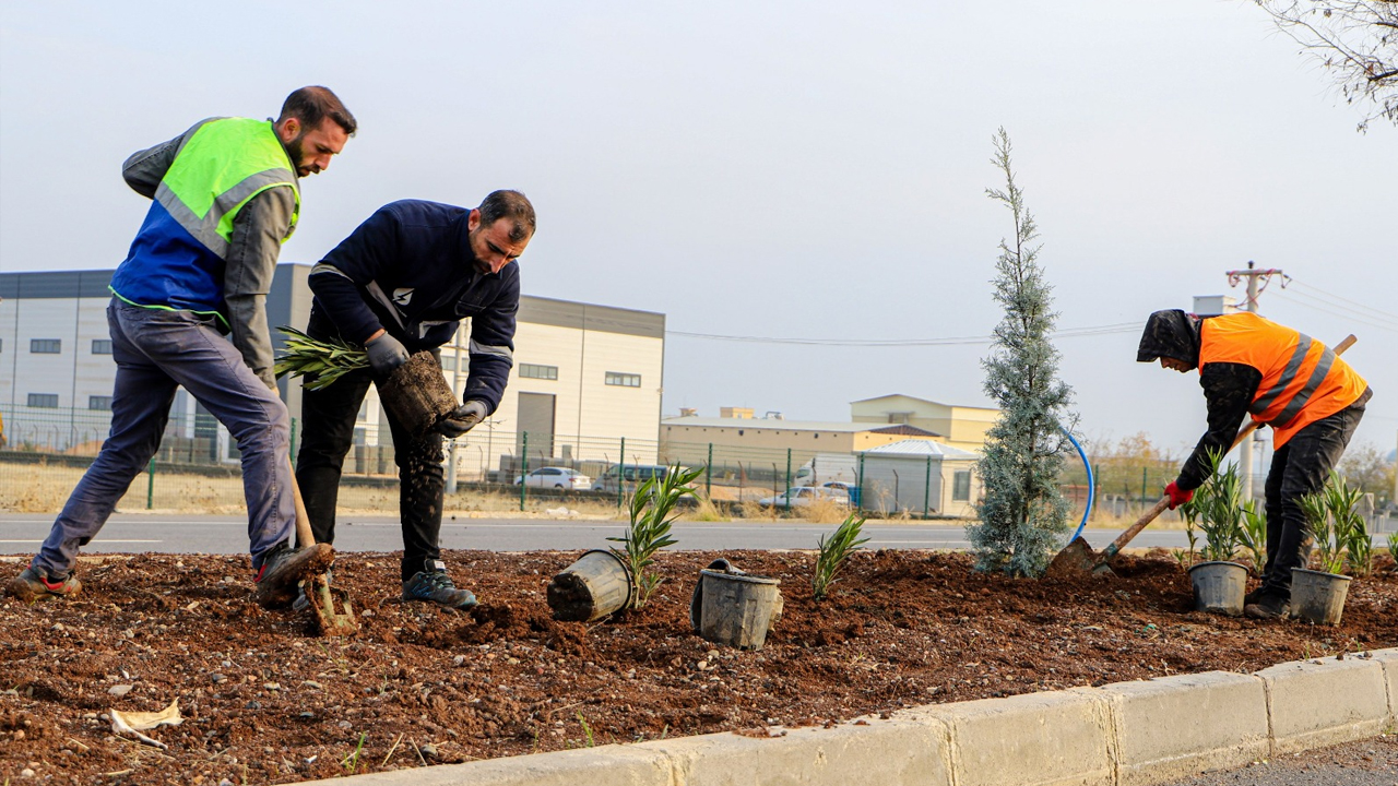 Diyarbakır’ın Girişi 14 Kilometre Ağaçlandırılıyor1