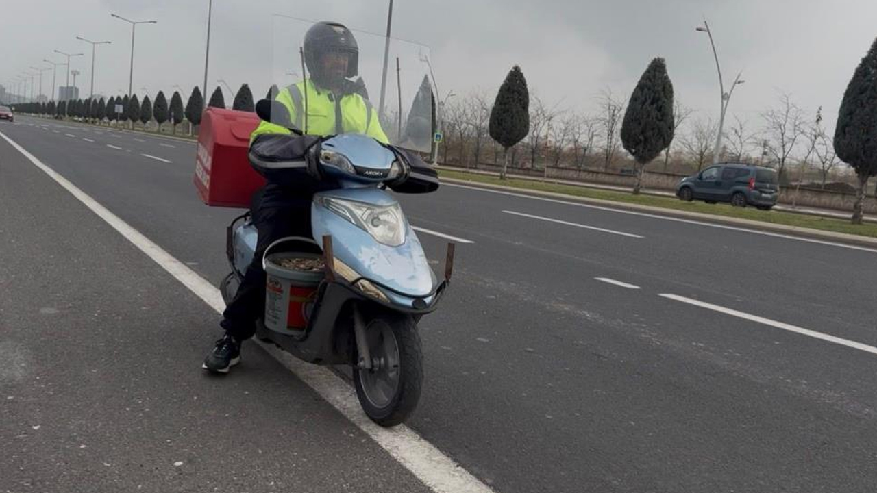 Diyarbakırlı Hayvanseverden Örnek Davranış