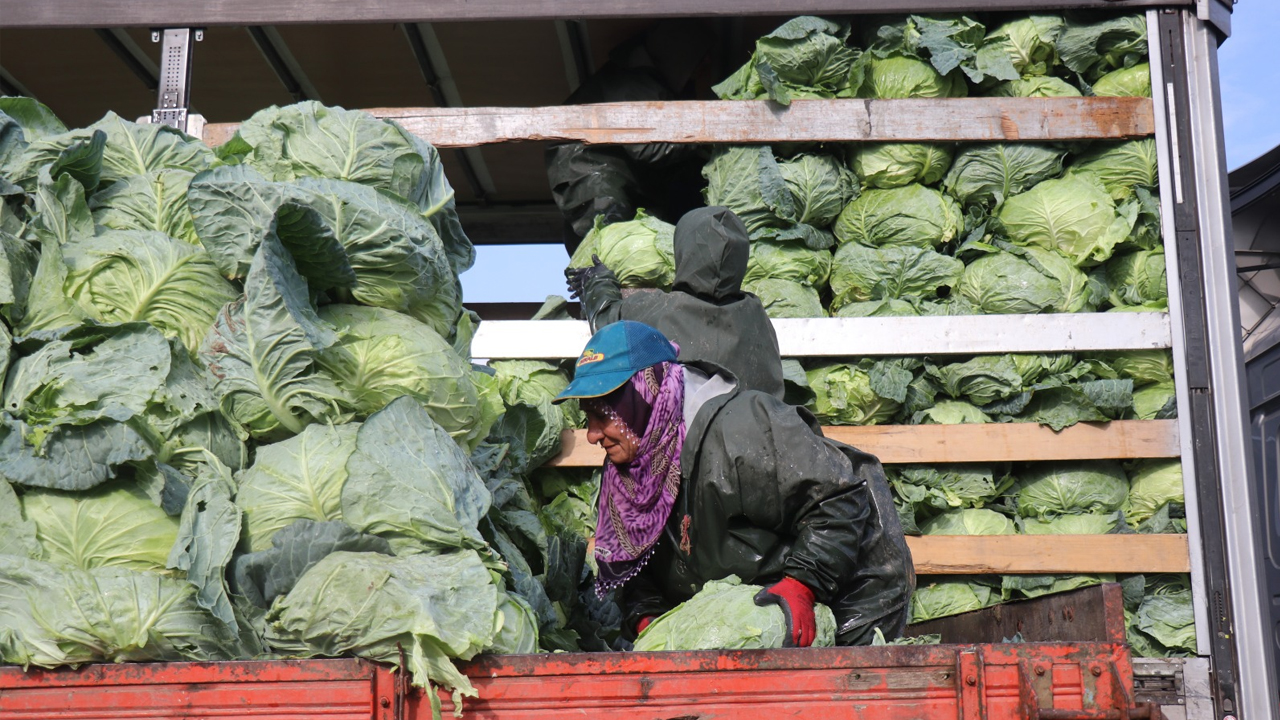 Hasadın Yükü Kadınların Sırtında1