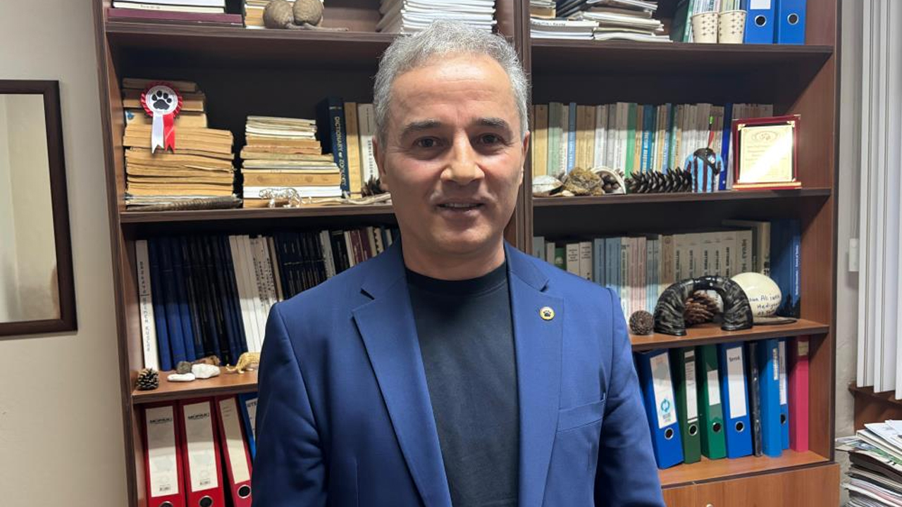 Kış Uykusuna Yatmaya Hazırlanan Ayı Uyarısı!1