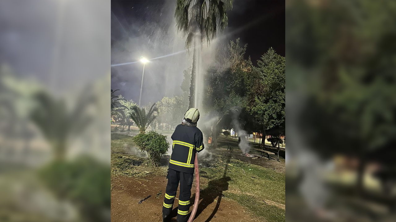 Mardin’de Akıl Almaz Olay!-1