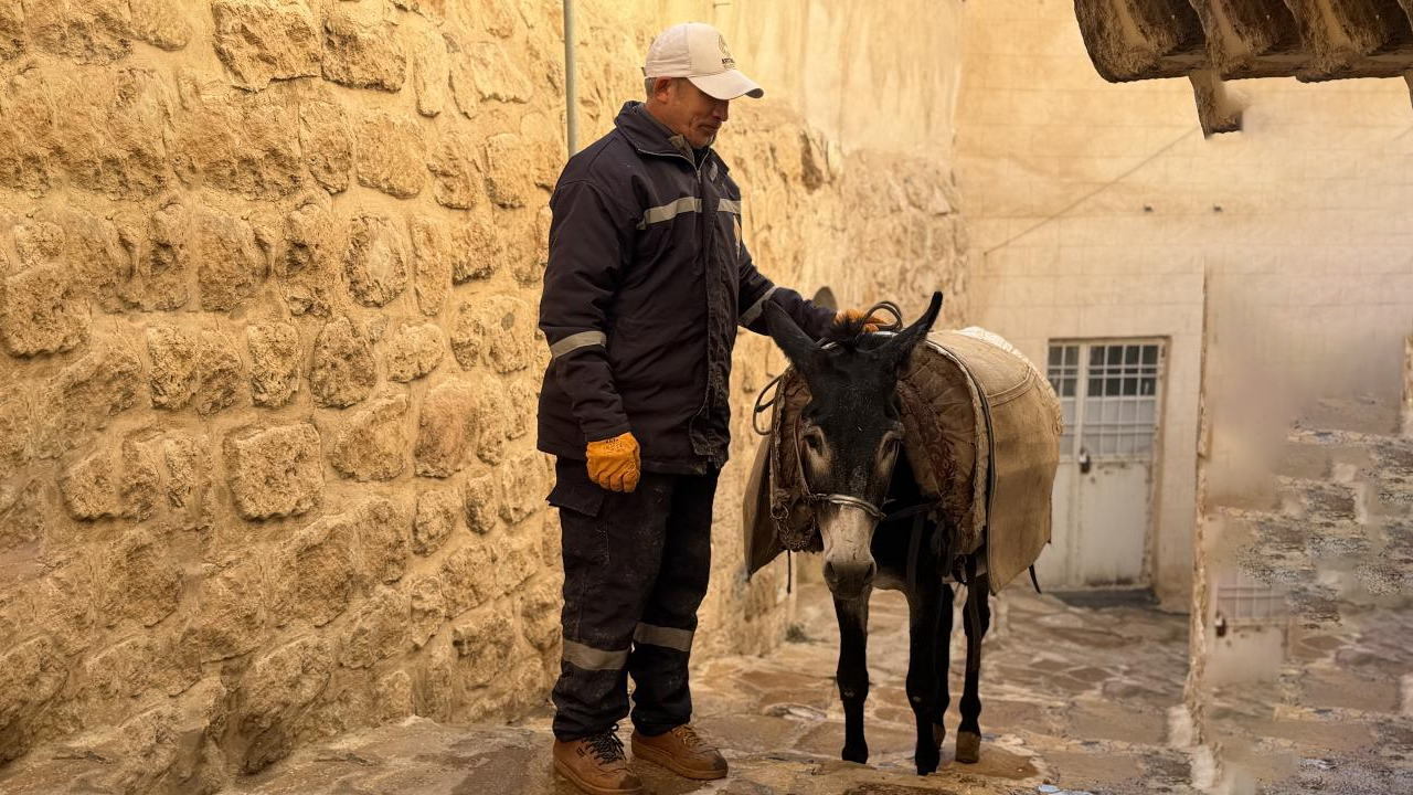 Mardin'in 'Kadrolu' Eşekleri Emekli Oluyor!