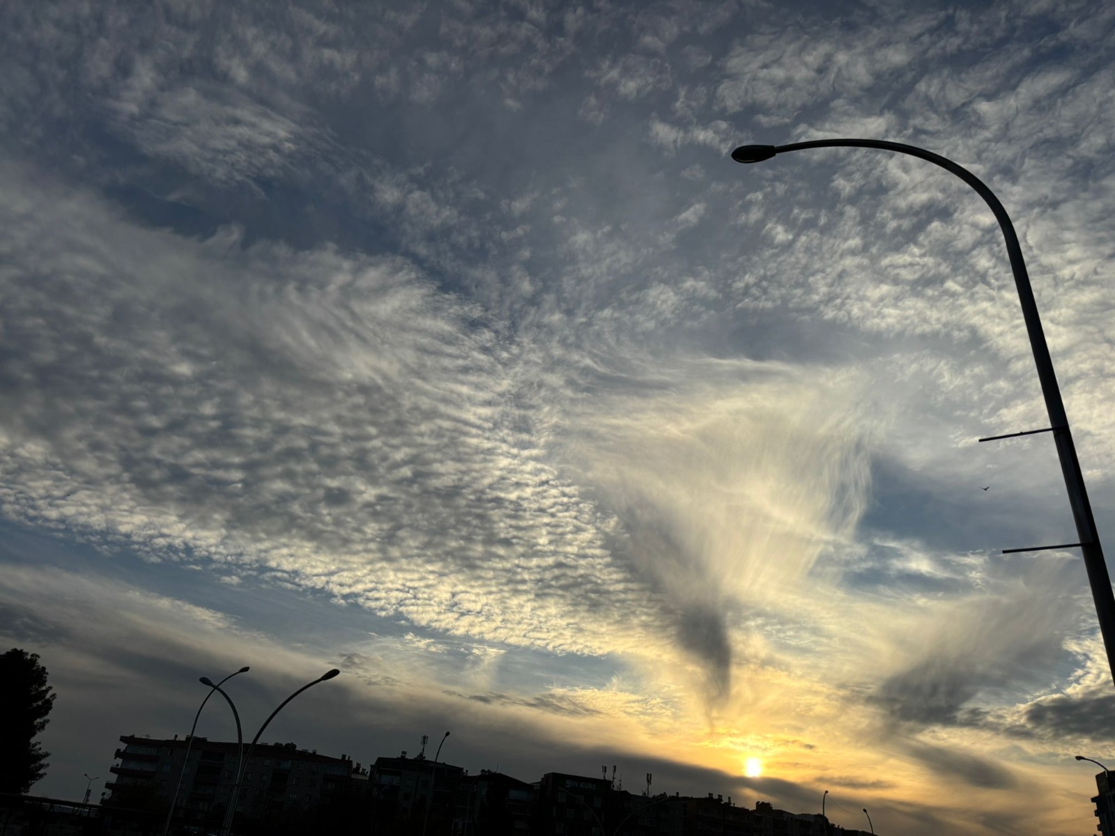 Whatsapp Image 2025 12 04 At 17.09.14 (10)