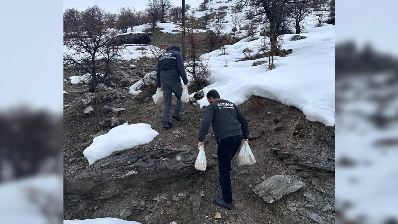 Batman'da Yaban Hayvanları Unutulmadı1-1