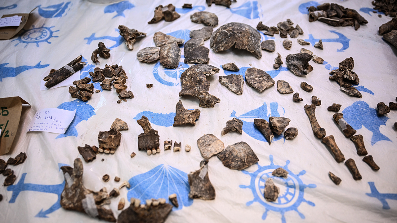 Diyarbakır Çayönü Tepesinin Genetik Haritası Çıkarılıyor