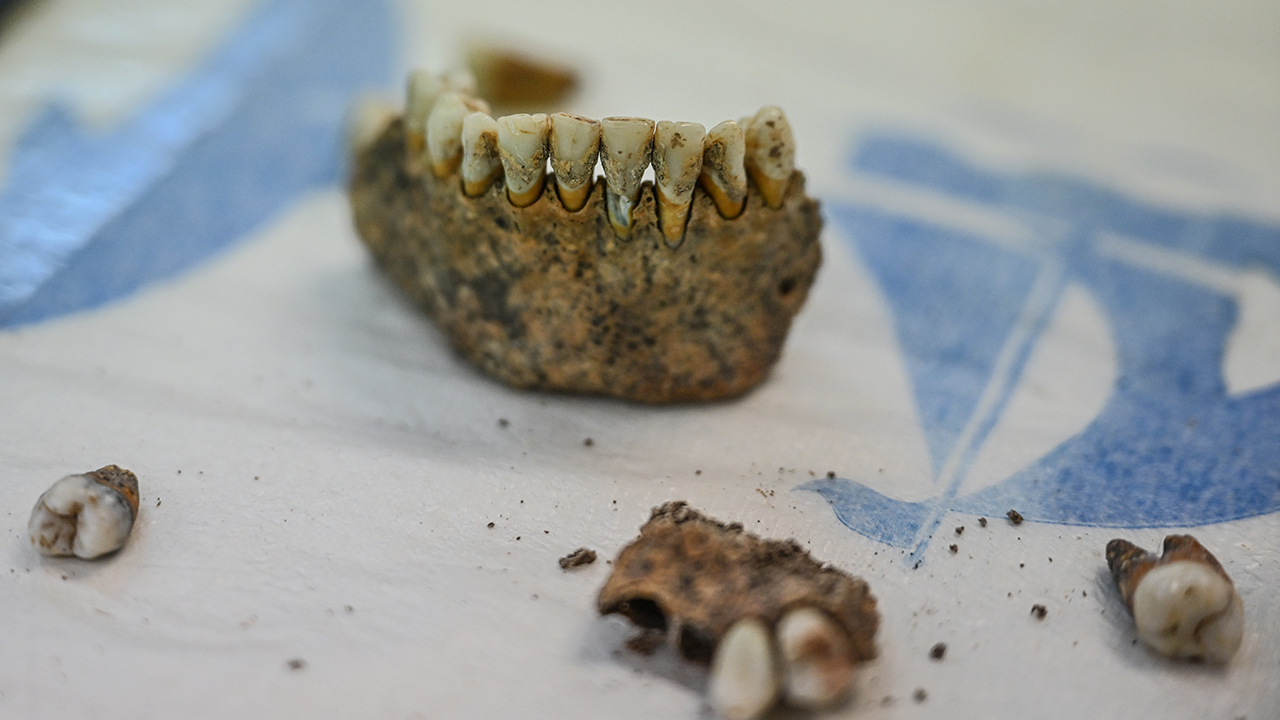 Diyarbakır Çayönü Tepesinin Genetik Haritası Çıkarılıyor1