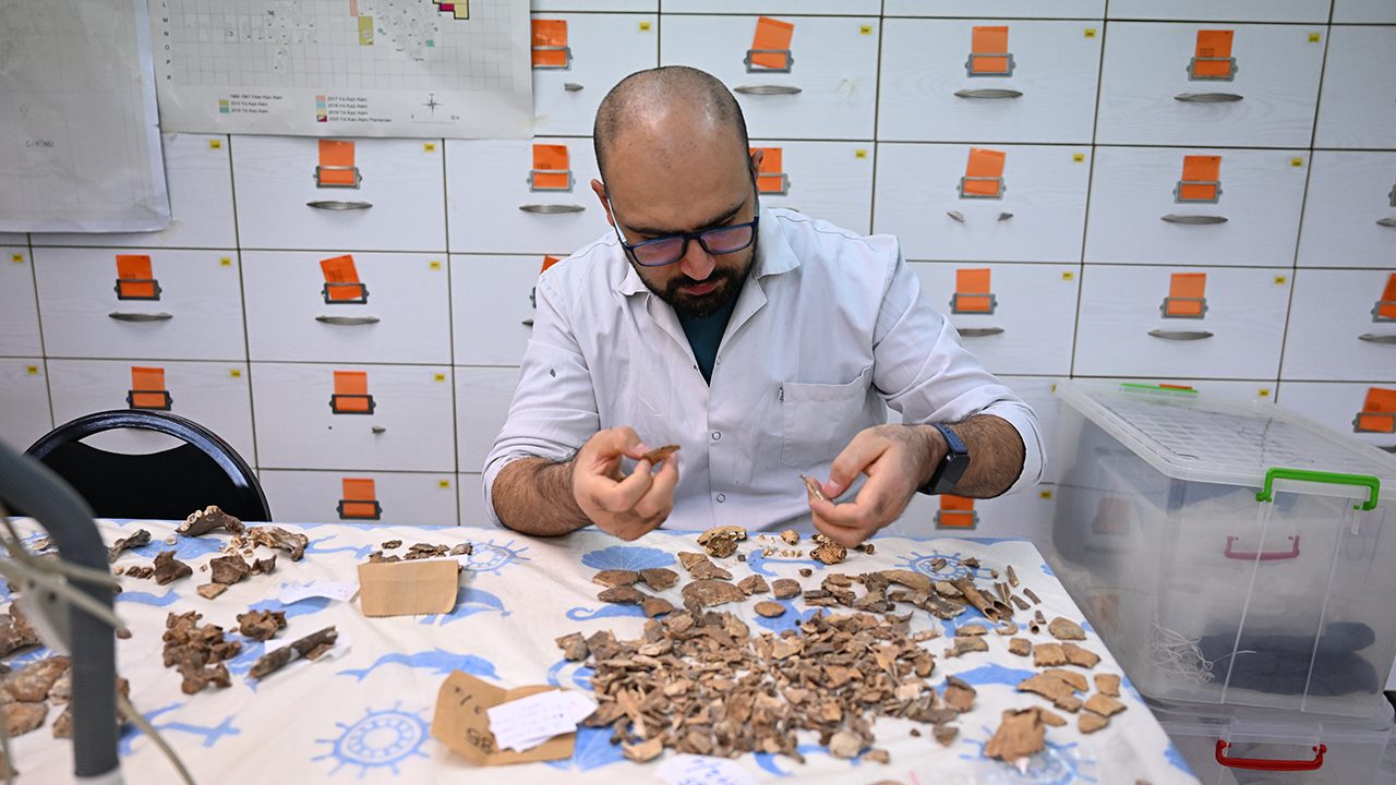 Diyarbakır Çayönü Tepesinin Genetik Haritası Çıkarılıyor5