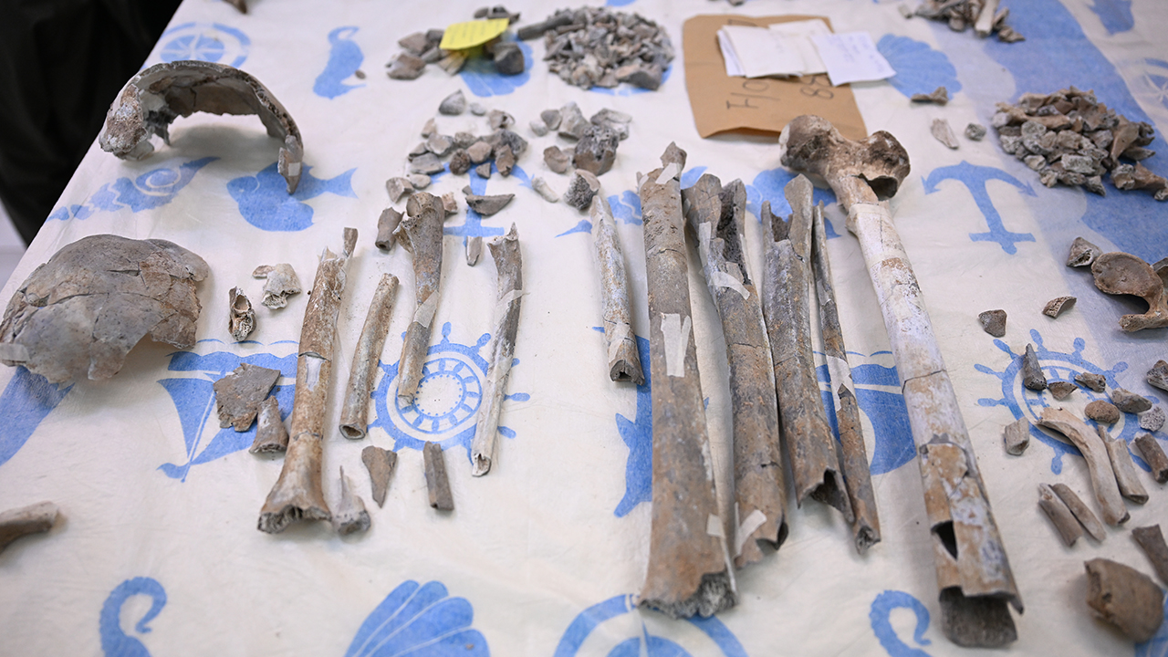 Diyarbakır Çayönü Tepesinin Genetik Haritası Çıkarılıyor6