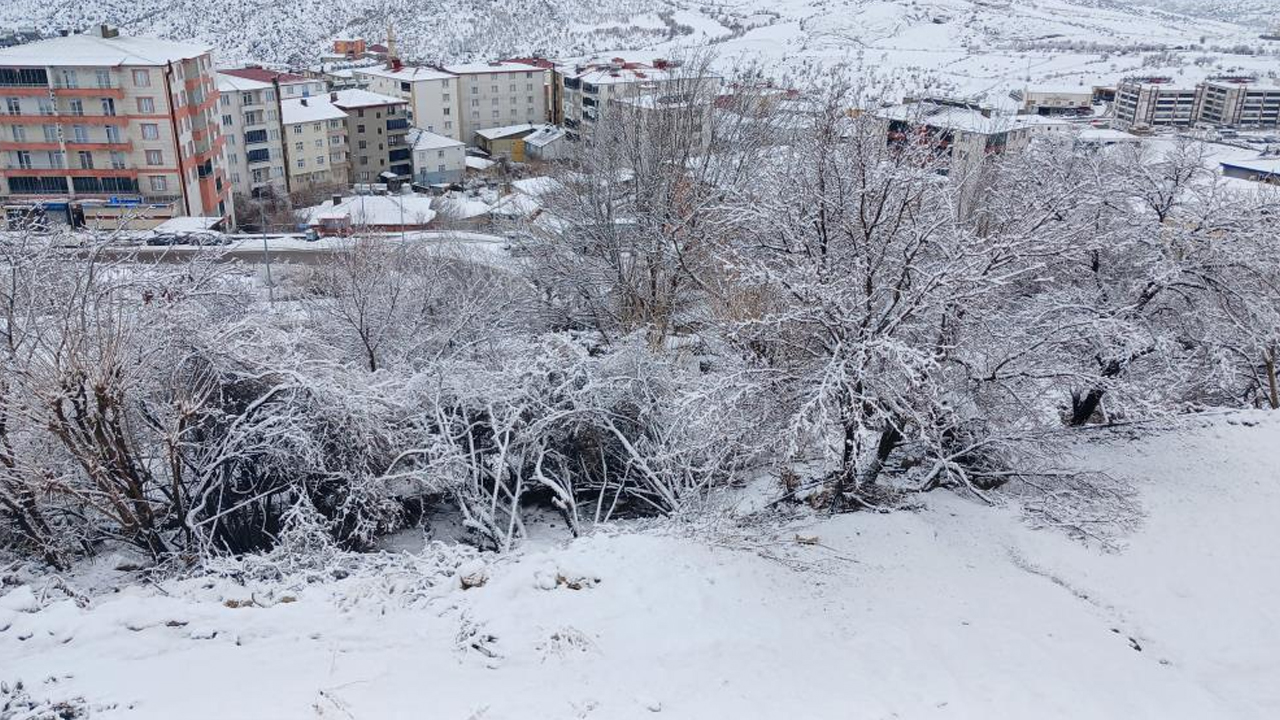 Diyarbakır Kırsalında Kar Esaretinin Sert Yüzü2