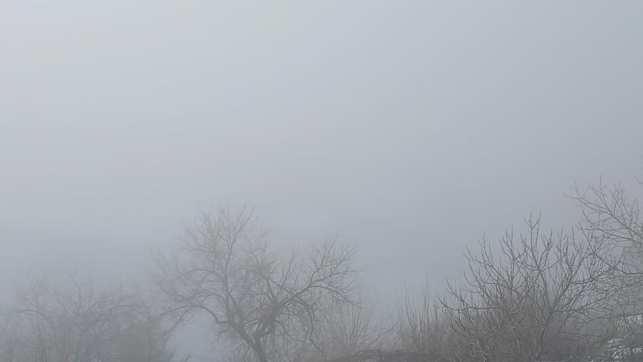 Diyarbakır Kulp’ta Göz Gözü Görmedi3