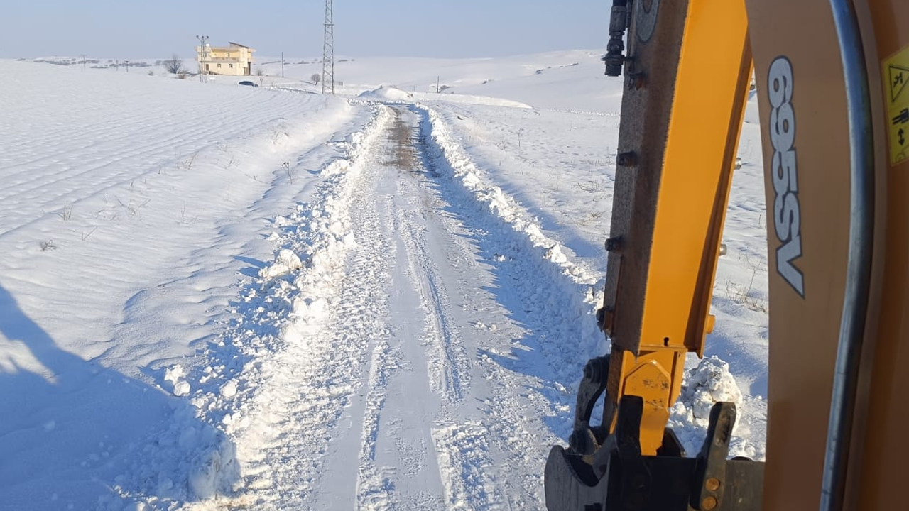 Diyarbakır'da Beyaz Esaretle Mücadele2