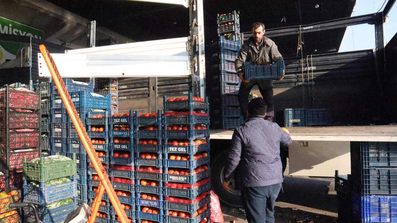 Diyarbakır’da Kar Ve Don Felaketi2