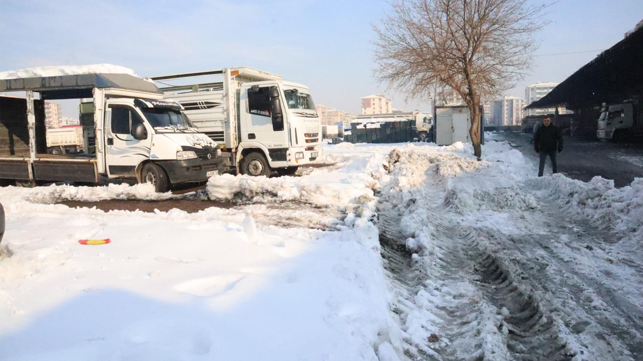 Diyarbakır’da Kar Ve Don Felaketi5