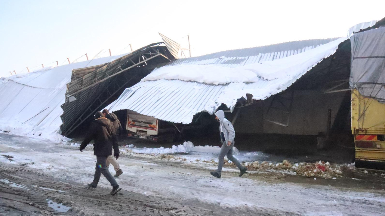 Diyarbakır’da Kar Ve Don Felaketi7