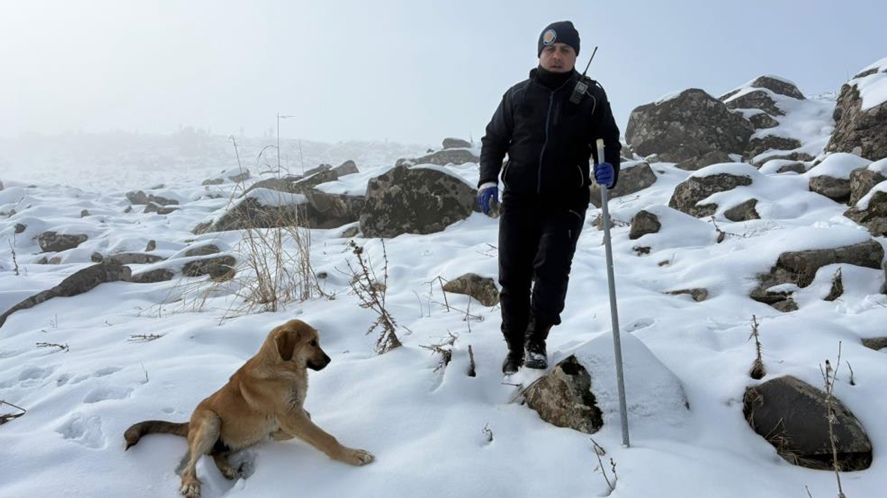 Diyarbakır'da Kayıp 2 Çocuk Annesi Her Yerde Aranıyor3