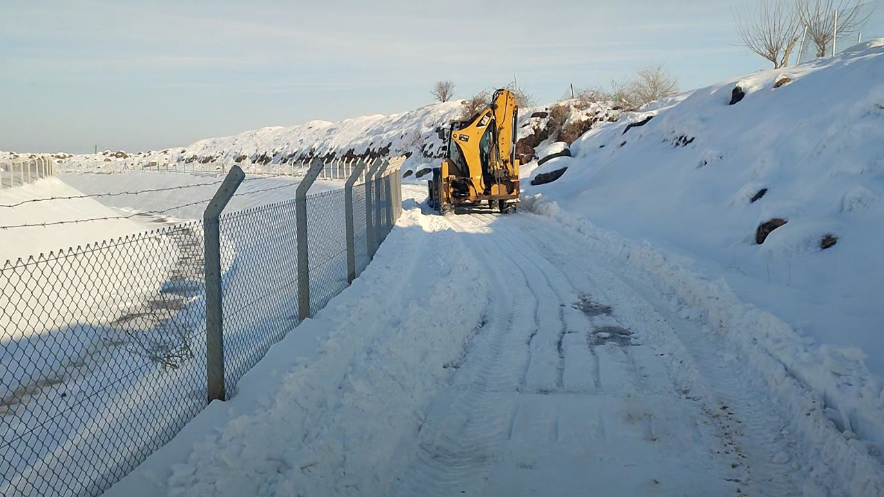 Diyarbakır'da Narin’in Katledildiği Köyde Bu Kez Yaşam Kazandı3