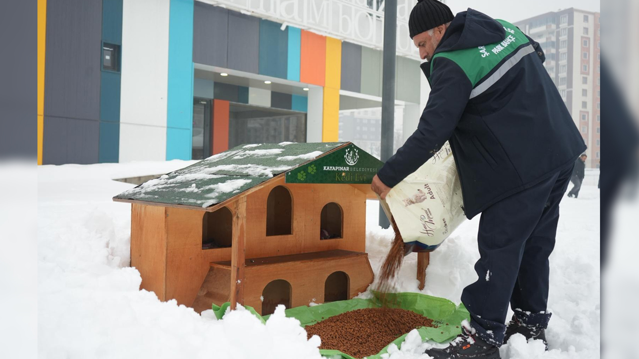 Diyarbakır'da Sokak Hayvanları Yem Ve Mama2