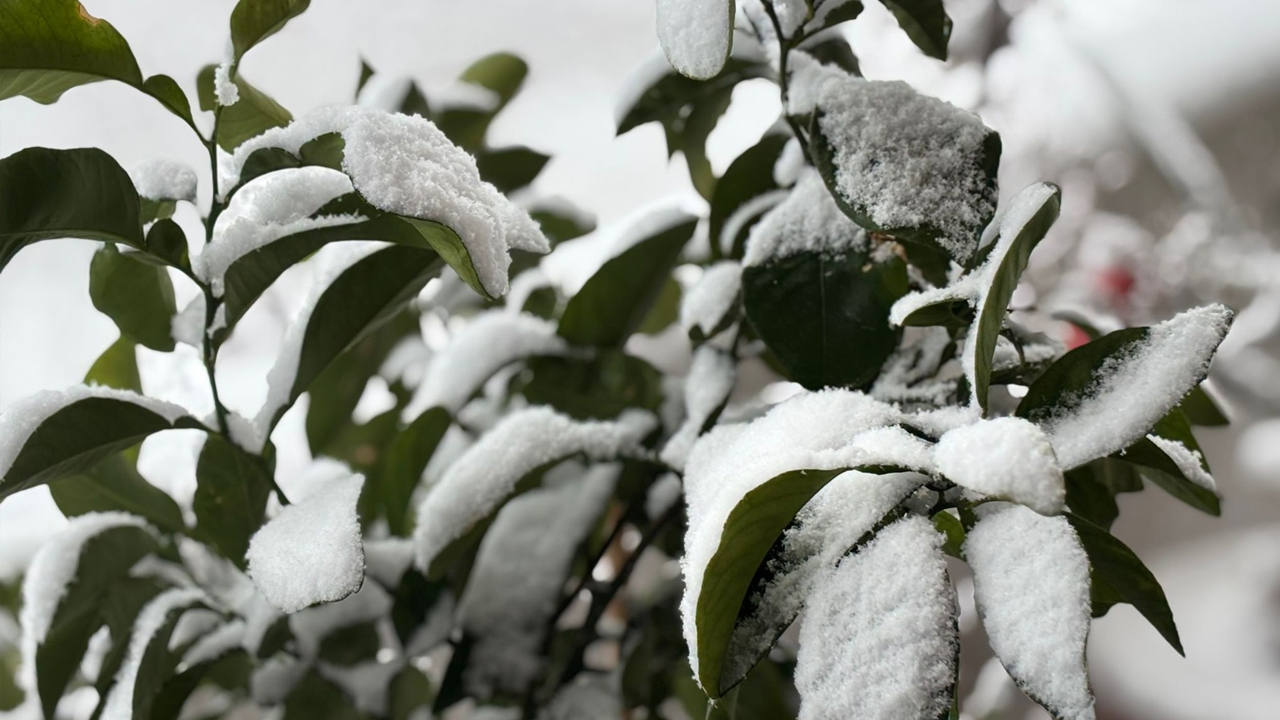Di̇yarbakir’da Tari̇hi̇ Kiş7