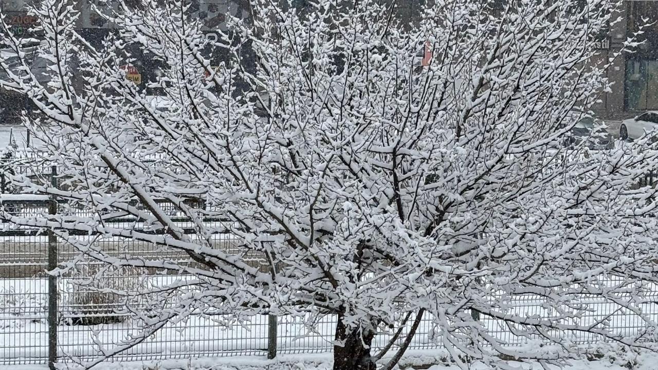 Di̇yarbakir’da Tari̇hi̇ Kiş8