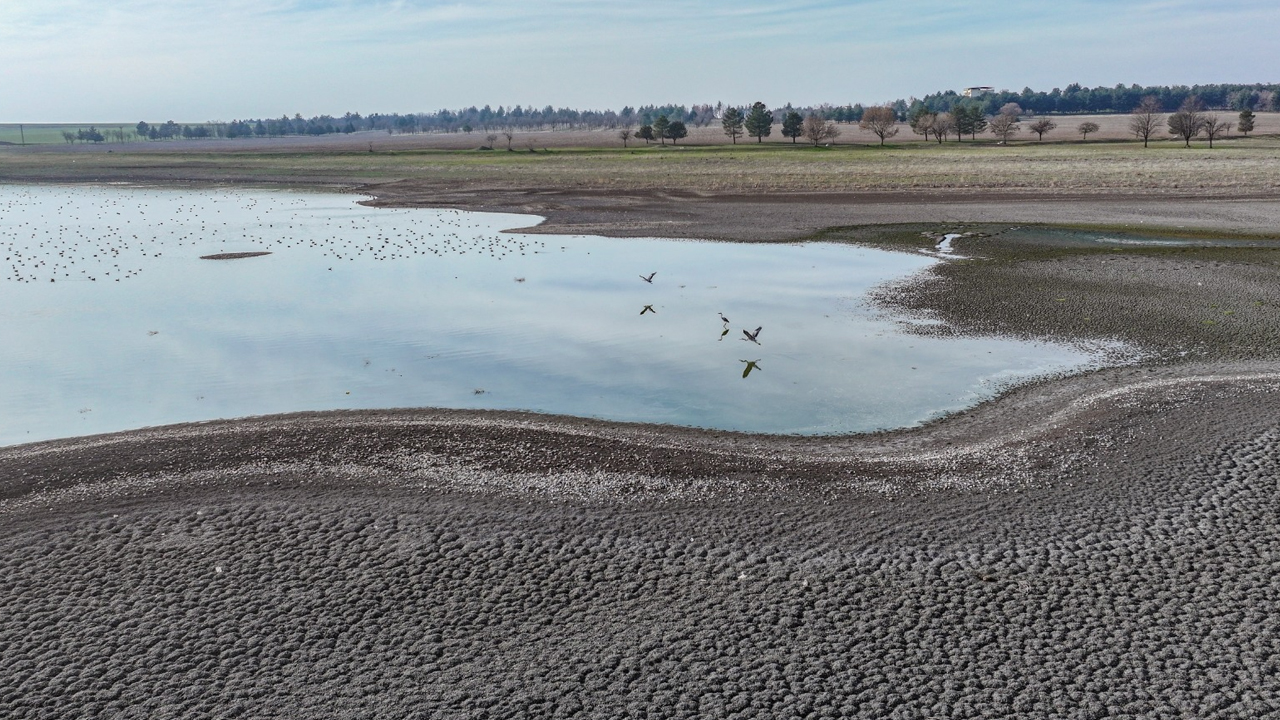 Diyarbakır'daki Kuş Cennetinde Büyük Tehlike!