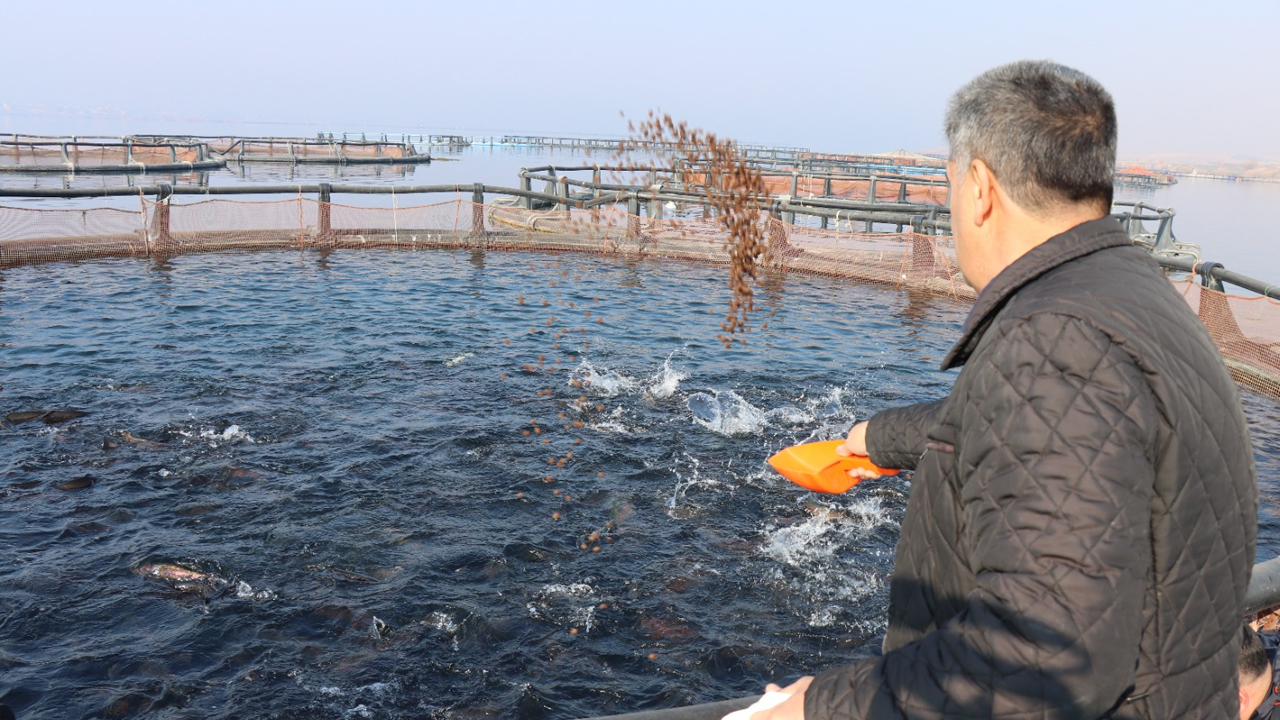 Fırat Somonu, Avrupa Ve Japonya Ve Çin Yolunda!3