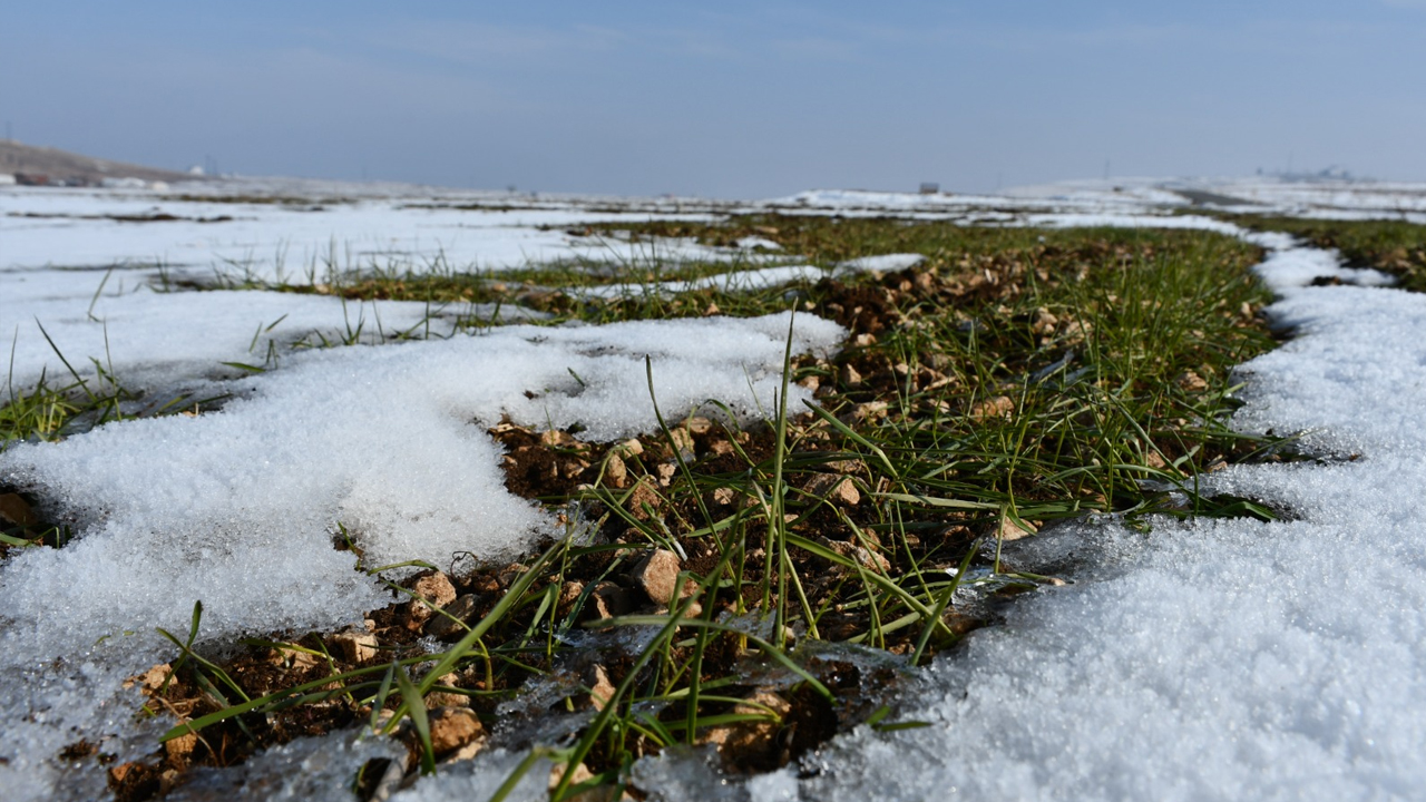 Güneydoğu'da Etkili Olan Kar Yağışı Çiftçiyi Sevindirdi2