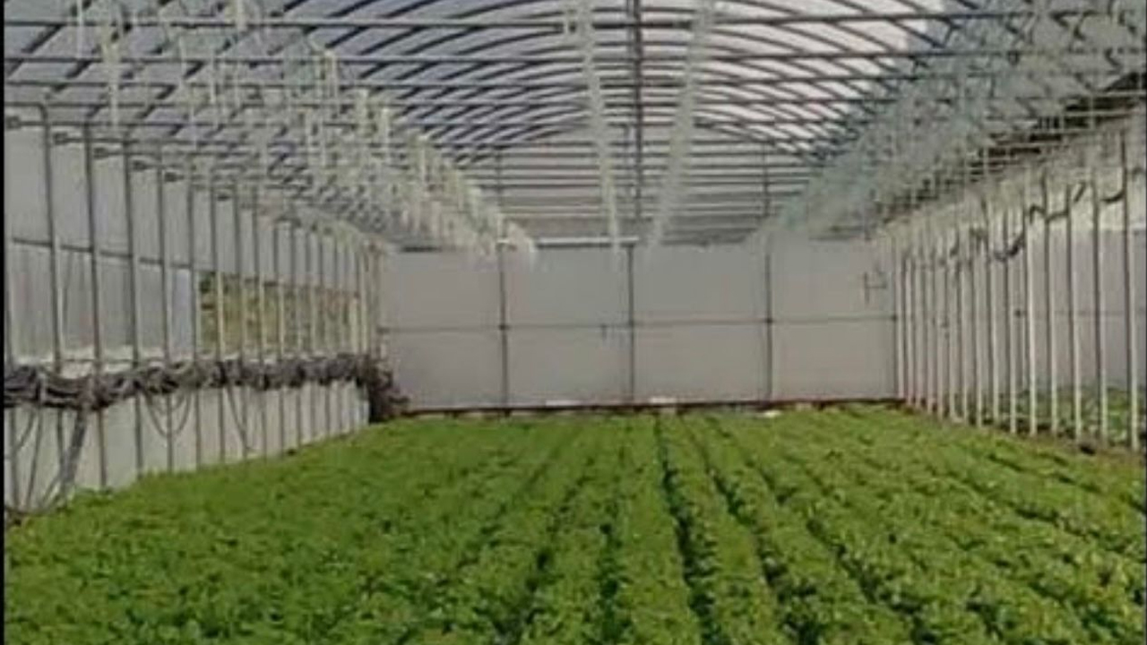 Seracılığın Fayda Ve Zararları