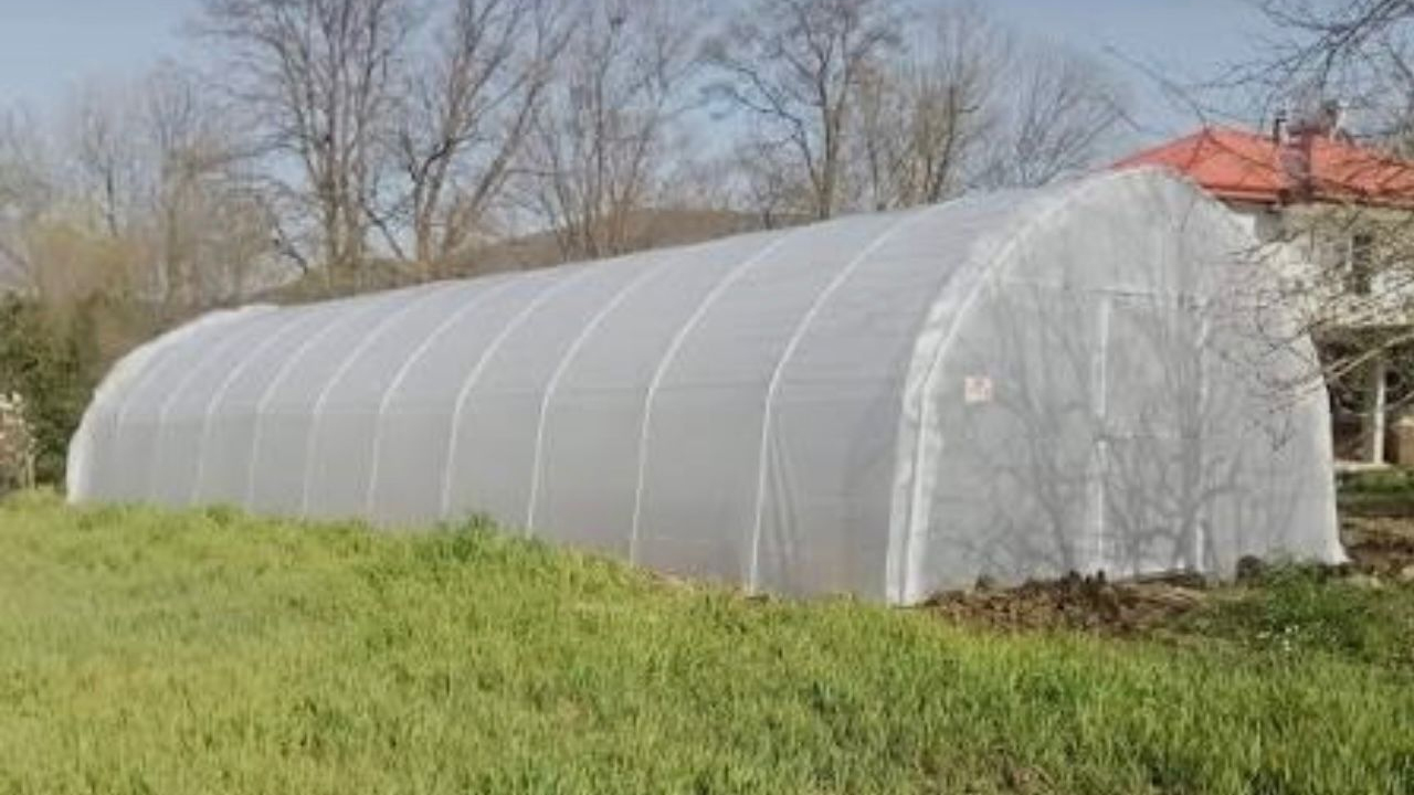 Seracılığın Fayda Ve Zararları2