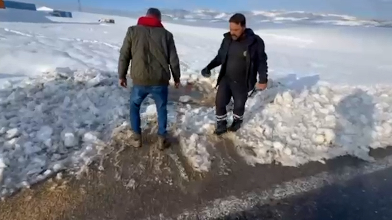 Silvan Belediyesi, Sokak Hayvanlarını Unutmadı2
