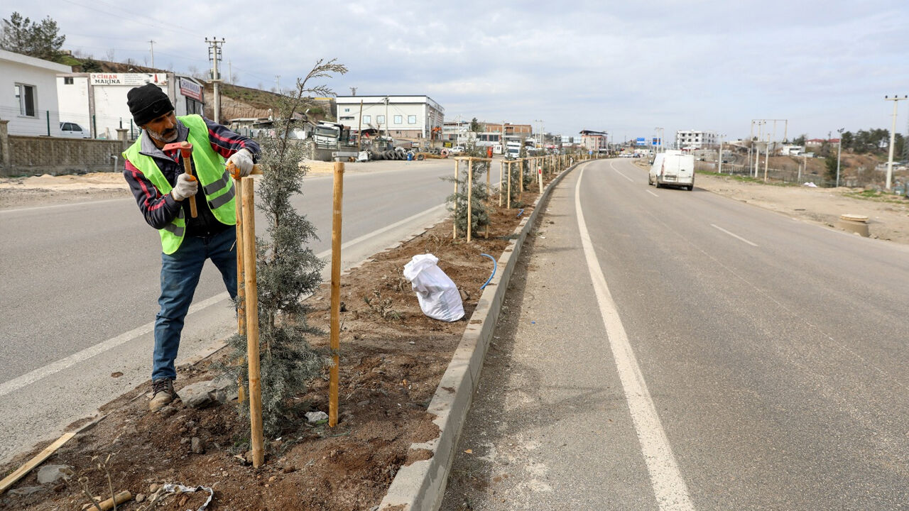 Diyarbakır Mardin Yolu Yeşillendi