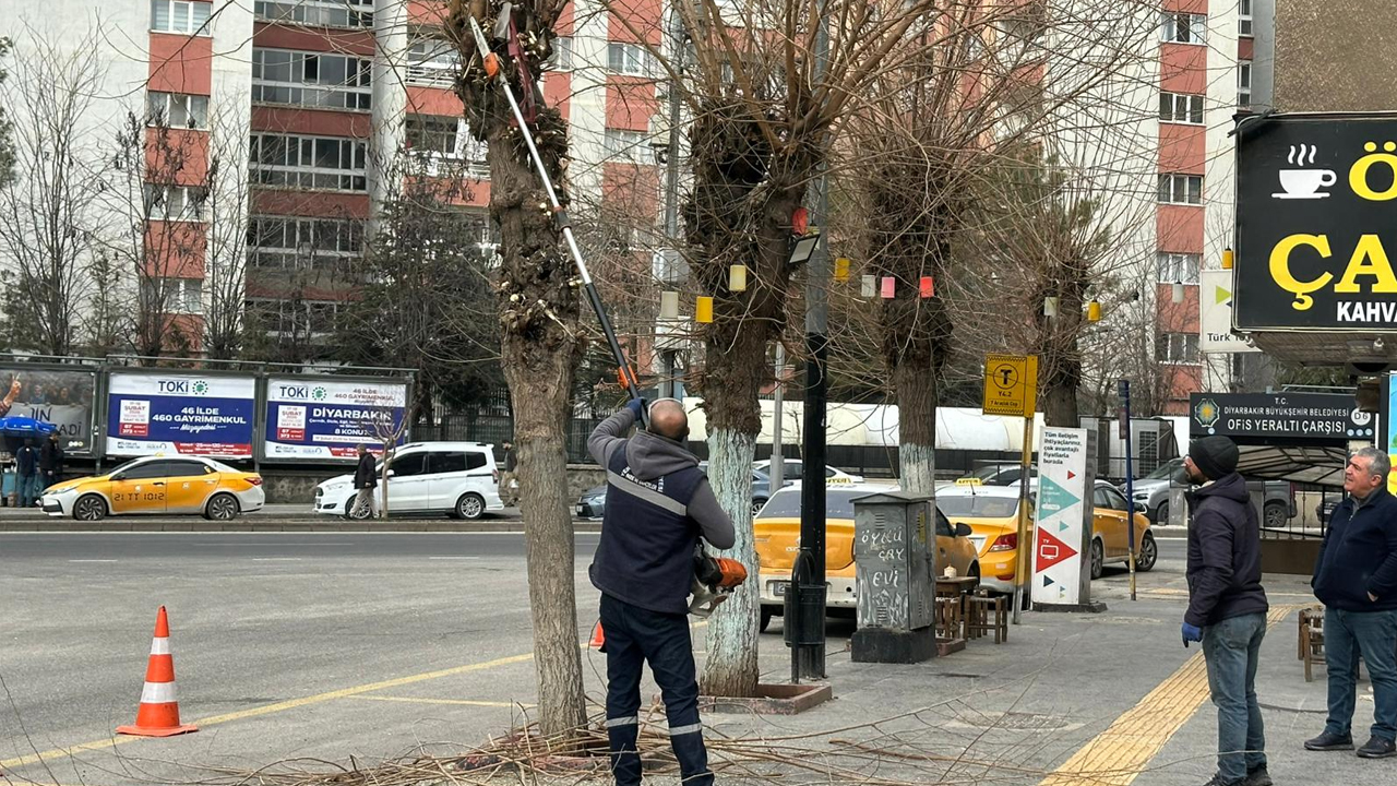 Diyarbakır’da Bahar Hazırlığı, Tehlike Saçan Söküldü2