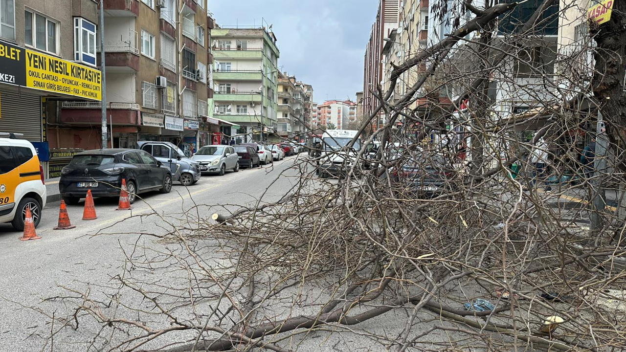Diyarbakır’da Bahar Hazırlığı, Tehlike Saçan Söküldü3
