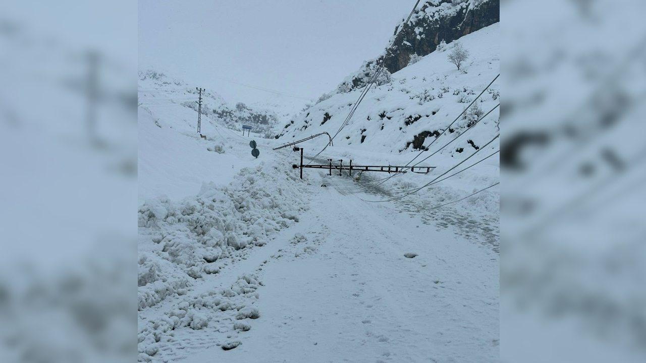 Diyarbakır’da Devrilen 300 Elektrik Direği Yenilendi1