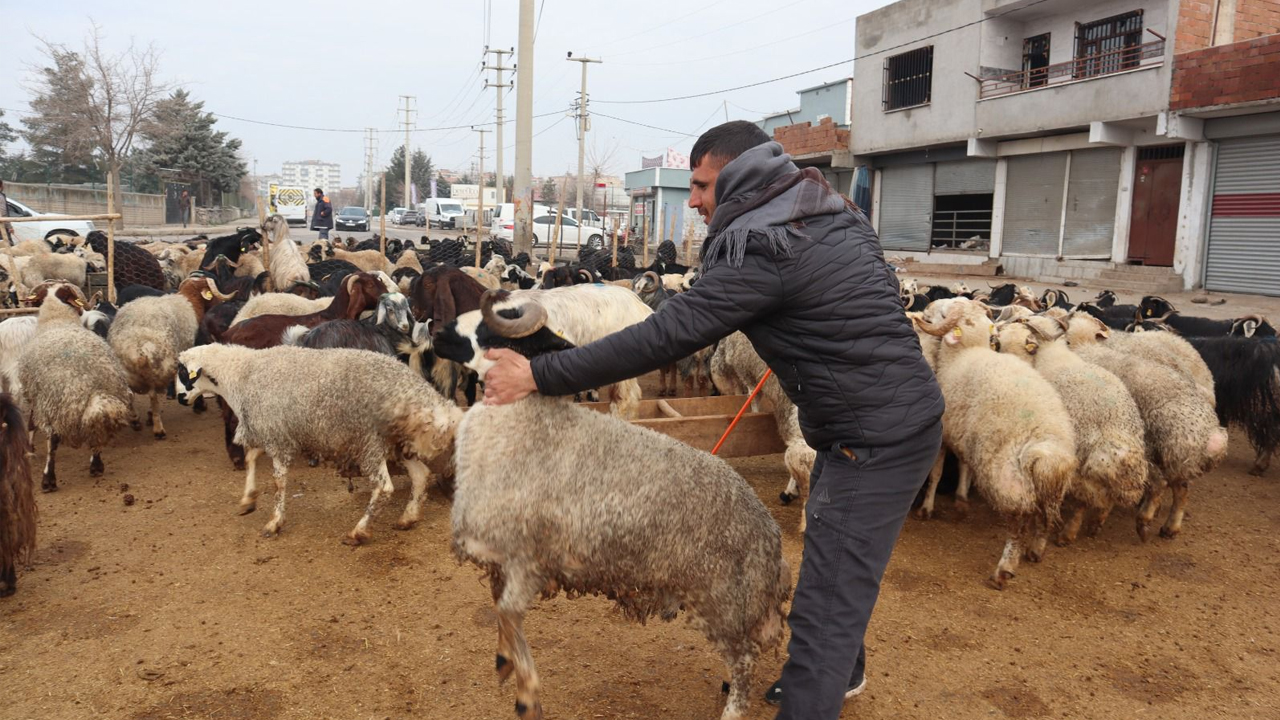 Diyarbakır’da Ramazan Öncesi Satışlarda Yoğunluk2