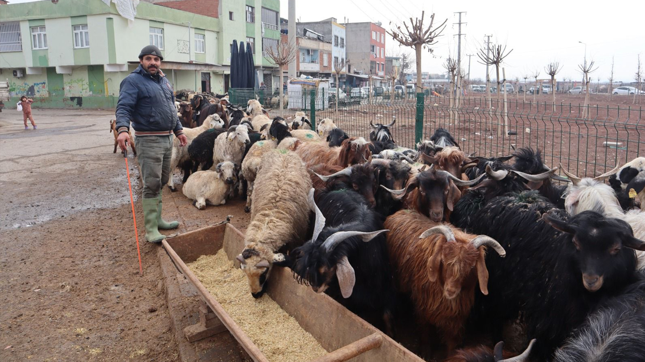 Diyarbakır’da Ramazan Öncesi Satışlarda Yoğunluk4