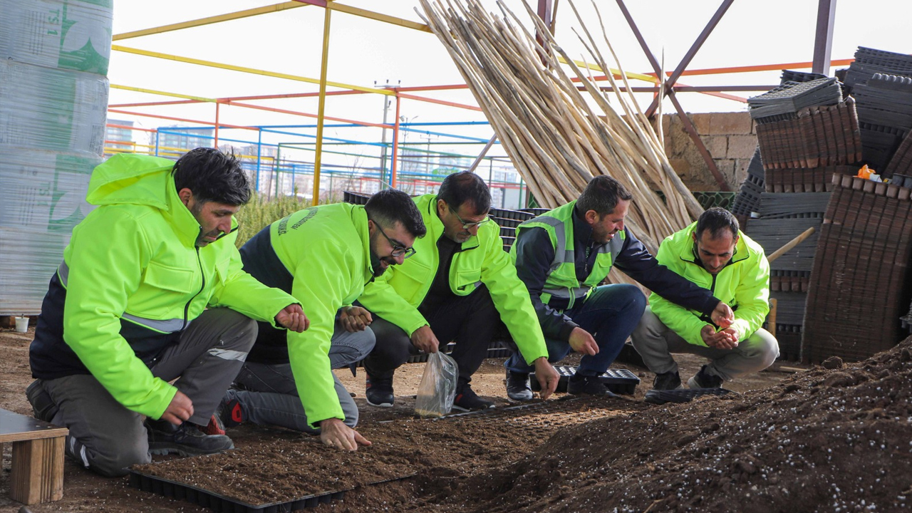 Yerel Tohum Desteği; Oprakla Buluştu, Çiftçiye 300 Bin Fide2